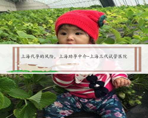 上海代孕的风险，上海助孕中介-上海三代试管医院