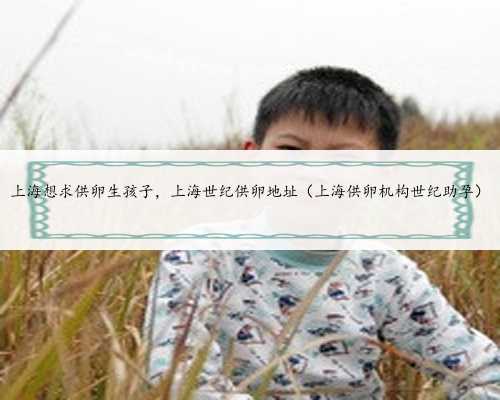 上海想求供卵生孩子，上海世纪供卵地址（上海供卵机构世纪助孕）