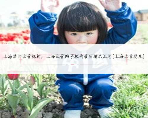 上海借卵试管机构，上海试管助孕机构最新排名汇总[上海试管婴儿]
