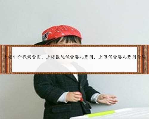 上海中介代妈费用，上海医院试管婴儿费用，上海试管婴儿费用介绍
