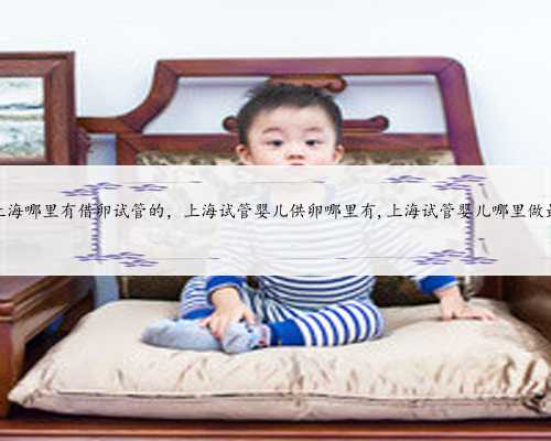 上海哪里有借卵试管的，上海试管婴儿供卵哪里有,上海试管婴儿哪里做最