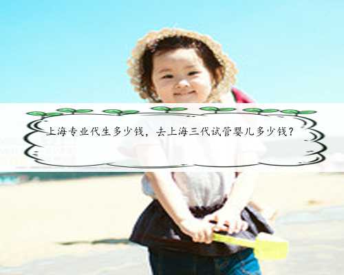 上海专业代生多少钱，去上海三代试管婴儿多少钱？