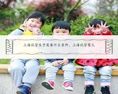 上海试管生子需要什么条件，上海试管婴儿