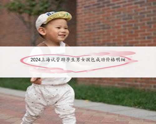 2024上海试管助孕生男女孩包成功价格明细